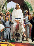 Jesus' triumphal entry